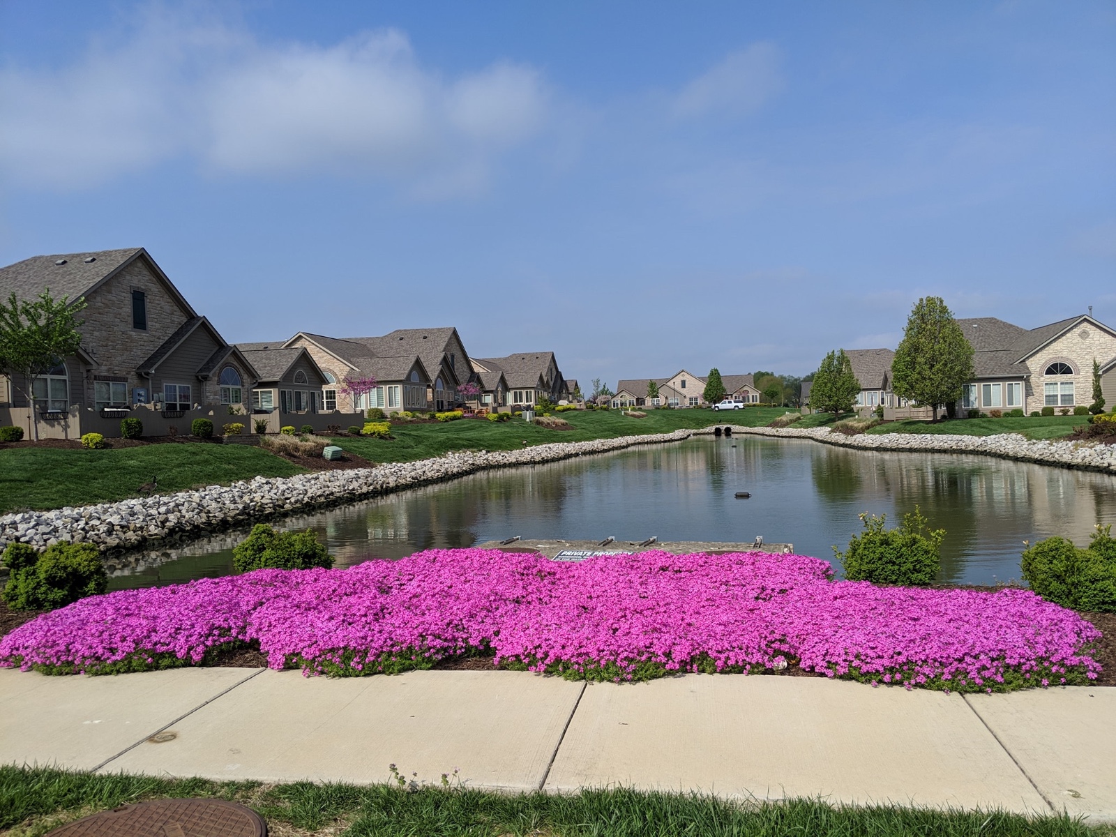 Shrub and Plant Care