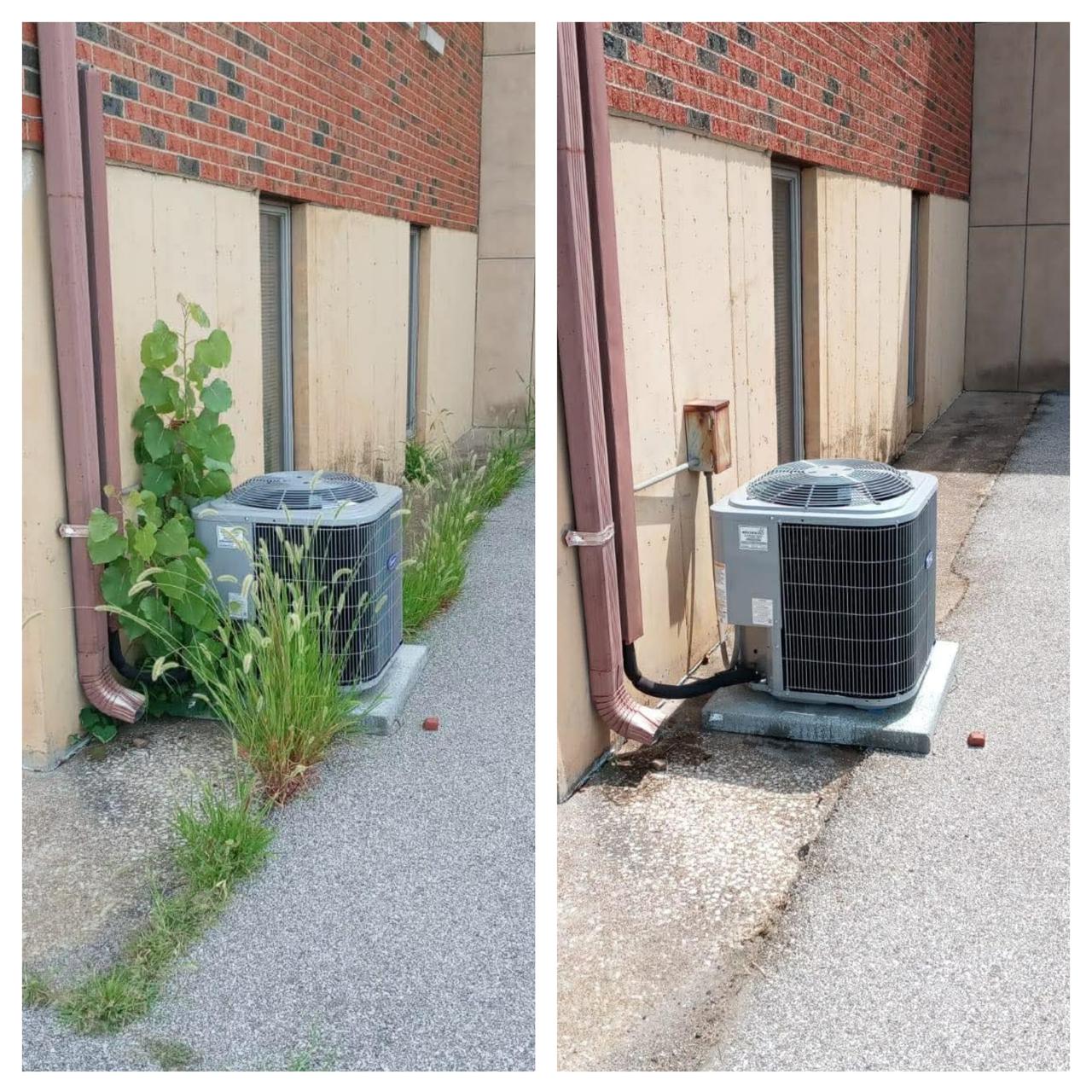 Landscaping and Design